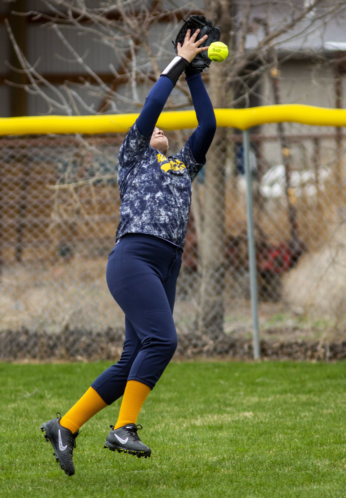 Wendell vs. Declo softball